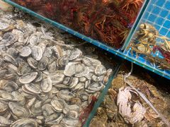 -港畔赶海蒸汽海鲜烧烤自助(仙螺岛店)