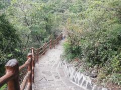 -神农山景区