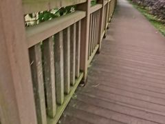 -仙海旅游度假区