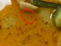-皖北巫氏三胖地锅鸡(长淮总店)