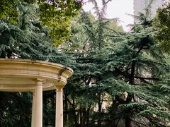 -叶叶菩提·晋福宫