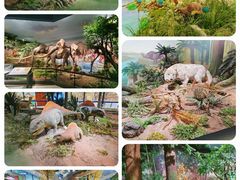 -湖南省地质博物馆