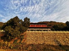 -遵化市禅林寺古银杏风景园