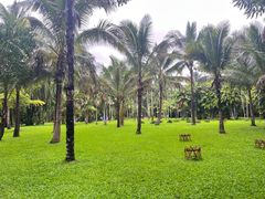 -中国科学院西双版纳热带植物园