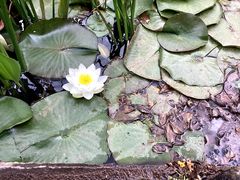 -昆明植物园