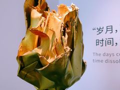 -中国江南水乡文化博物馆