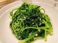 清炒菠菜-苏浙汇(朝外店)