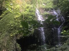 -莫里热带雨林景区