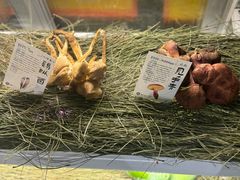 -滇野云南野生菌餐厅(陕西南路店)