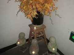 -Dragonfly悠庭·按摩Spa(静安嘉里中心店)