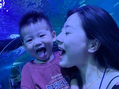 -多彩贵州城极地海洋世界