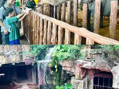 -长鹿旅游休博园