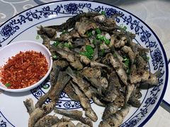 -高坎一品甲鱼庄(两河店)