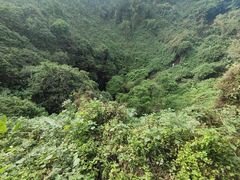 -海口火山口国家地质公园