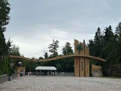 -五营红松林海景区