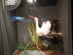 -武汉园博园(武汉自然博物馆)