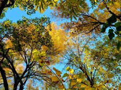 -元大都城垣遗址公园