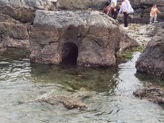 -黑石礁公园