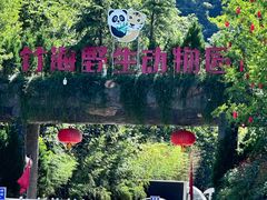 -栾川竹海野生动物园