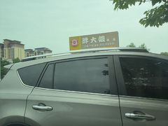 -胖大姐黄辣丁鱼庄(新津店)
