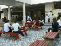 -香港大学