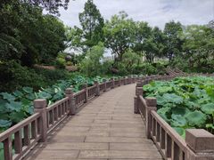 -金山公园