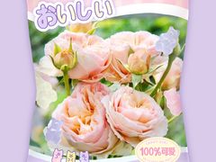 -前小桔亲子创意农场·草莓采摘·露营烧烤