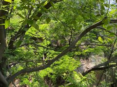 -草庵摩尼教遗址公园