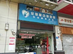 -宠物星动物医院·眼科·异宠·猫科(江南大道总院)