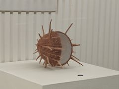 -青岛贝壳博物馆
