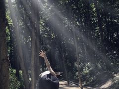 -洛阳白云山景区