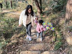 -青龙山国家森林公园