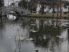 -惠州西湖丰渚园