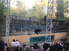 -清迈夜间动物园