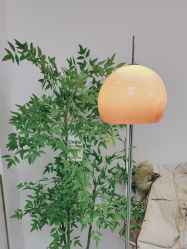-变美丽半永久纹眉连锁·机器野生眉·洗眉