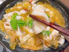 砂锅酸菜乌鱼片-陶德砂锅(蜀汉路店)