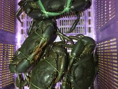 -龙海鲜螃蟹王(宏茂桥店)