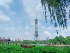 -裕华世纪公园