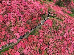 -木兰云雾山