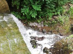 -天女山森林公园