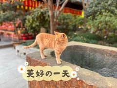 -龙华寺