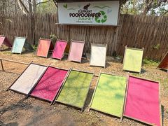 -大象粑粑造纸公园