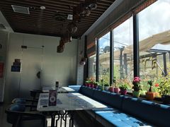 -玫瑰西餐厅.意面披萨.牛排咖啡