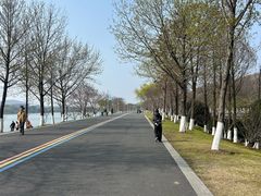 -羊山湖公园