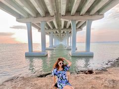 -宝安西湾红树林湿地公园