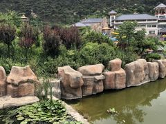 -徂徕山森林康养度假谷温泉