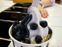 -JW德国冻酸奶Frozen Yogurt(龙湖成都滨江天街店)