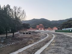 -清东陵