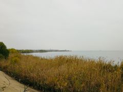 -合肥滨湖国家森林公园