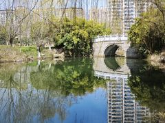 -洋湖国家湿地公园